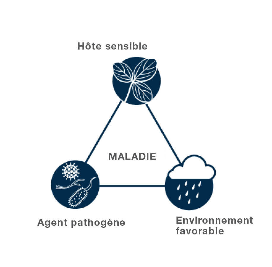 Disease diagram
